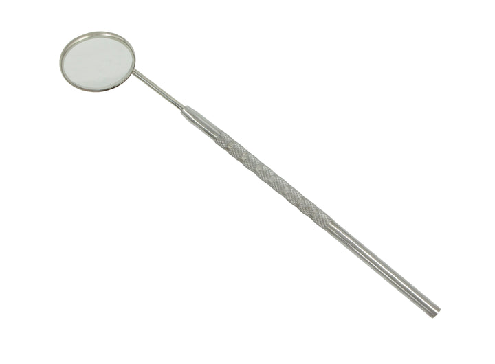 Mundspiegel