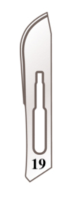 Scalpel holder blades no. 19 for handle no. 4