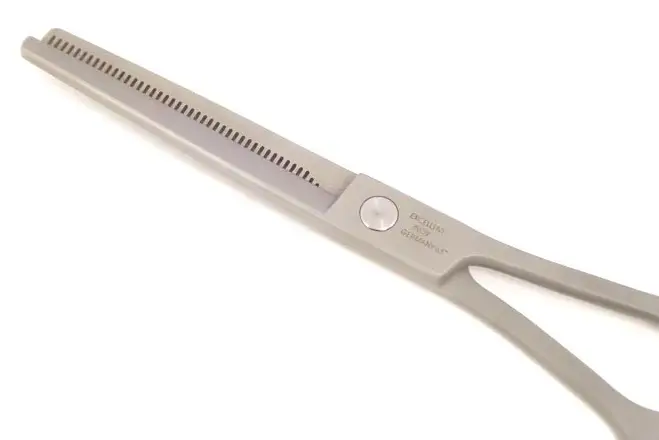 Excellent modelling scissors, single-toothed